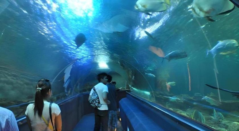 Vinpearl Discovery Rockside Nha Trang Zewnętrze zdjęcie